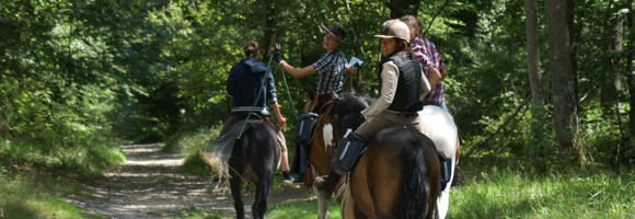 Promenades  cheval senlis