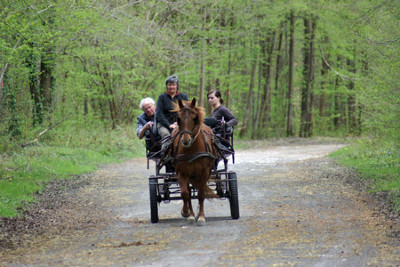 Promenades en calche Boret, proche senlis 60