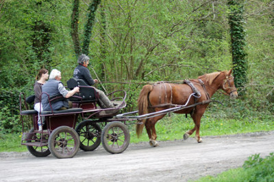Promenades en calche Boret, proche senlis 60