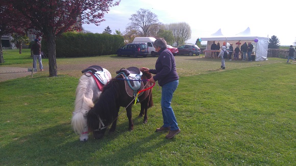 Tours de poneys - animations & vnements