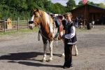 LOCATION DE CHEVAUX A L'HEURE