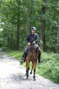 Promenades  cheval senlis