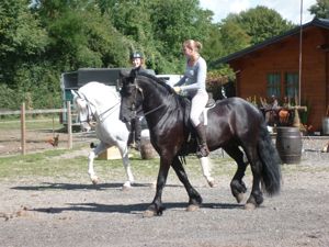 Promenades  cheval et en calchesenlis 60