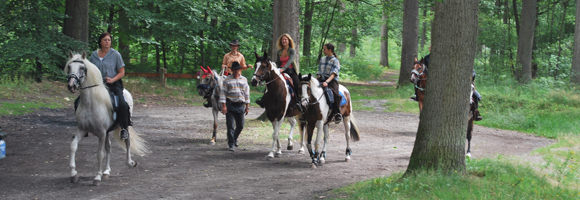 Promenades  cheval senlis